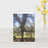 Psalm 1:1-3 Blank Card カード (黄色い花)