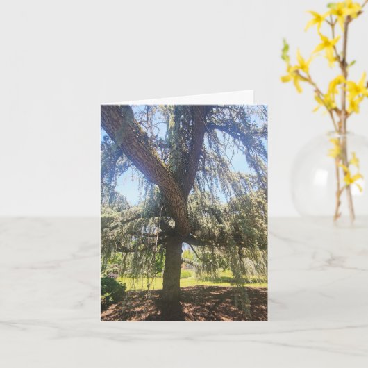 Psalm 1:1-3 Blank Card カード (黄色い花)