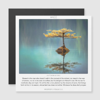 Psalm 1:1-3 PROSPERITY SCRIPIX磁気カード マグネット招待状