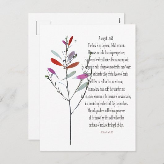 Psalm 23, Davidの緑の植物フローラはがき シーズンポストカード (正面/裏面)