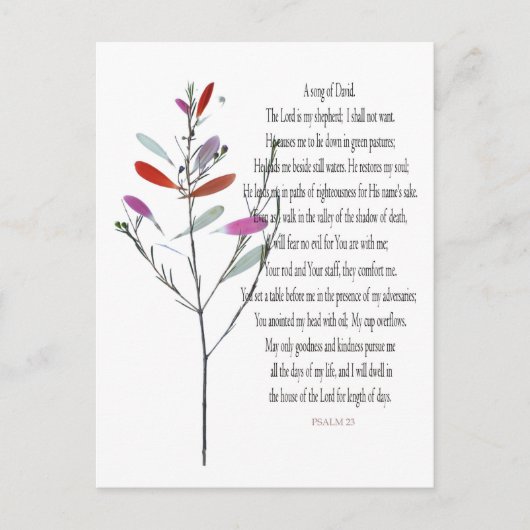Psalm 23, Davidの緑の植物フローラはがき シーズンポストカード (正面)