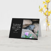 Psalm 27:5 (KJV)カード  カード (黄色い花)