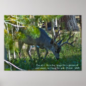 Psalm 42:1 poster ポスター (正面)