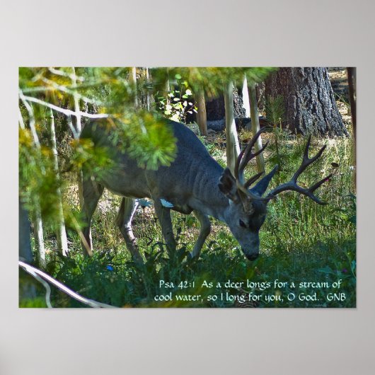 Psalm 42:1 poster ポスター (正面)
