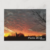 Psalm 46:10 Be Still Bible Verse Memory Card ポストカード (裏面)
