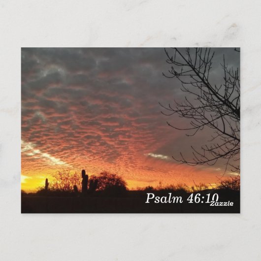 Psalm 46:10 Be Still Bible Verse Memory Card ポストカード (裏面)