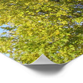 Psalm 92ブルースカイポスター ポスター (角)