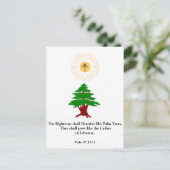 Psalm 92:12-13 Cedar of Lebanon Maroniteポストカード ポストカード (スタンド正面)