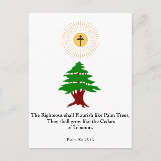 Psalm 92:12-13 Cedar of Lebanon Maroniteポストカード ポストカード (正面)