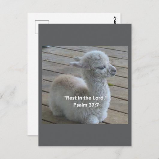 Psalm Llamaはがき ポストカード (正面/裏面)