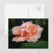 Psalms 23ポストカード ポストカード (正面/裏面)