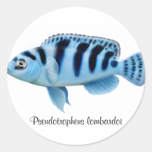 Pseudotropheus lombardoi African Cichlidステッカー ラウンドシール (正面)