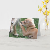 Psst! 推測何か。 カード (黄色い花)