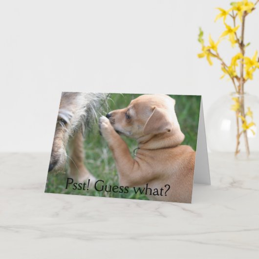 Psst! 推測何か。 カード (黄色い花)