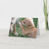 Psst! 推測何か。 カード (正面)