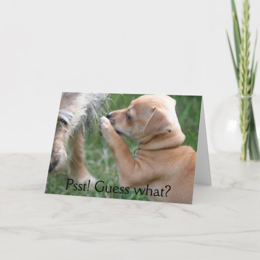 Psst! 推測何か。 カード (正面)