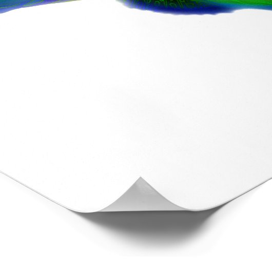 Psychedelic Mandarin Fish ポスター (角)