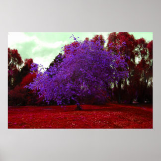 Psychedelic Tree ポスター