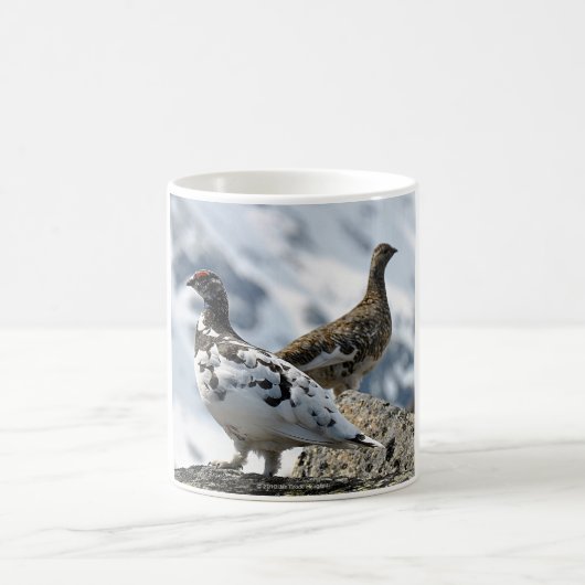 Ptarmigan コーヒーマグカップ (中央)