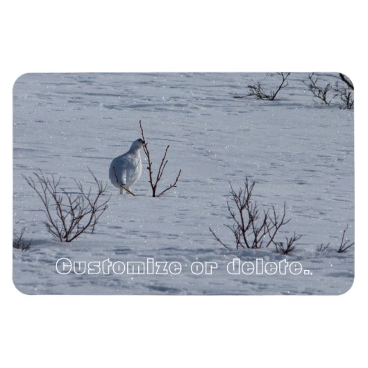 Ptarmigan Snacking、カスタマイズ可能 マグネット (横)