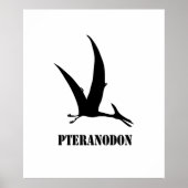 pteranodon ポスター (正面)
