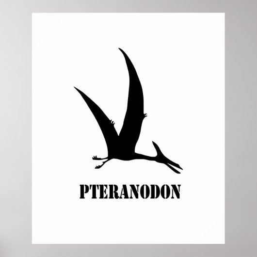 pteranodon ポスター (正面)
