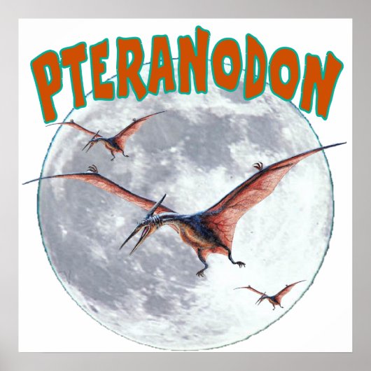 Pteranodon dinosaur ポスター (正面)