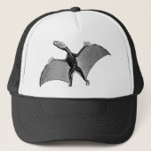 Pterodactylの骨組 キャップ (正面)