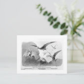 Pterodactylsアートポストカード ポストカード (スタンド正面)