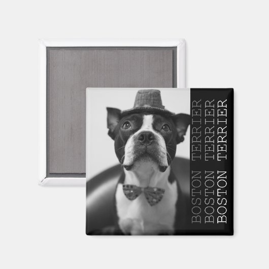 Pucca Magnets B マグネット (正面/裏面)