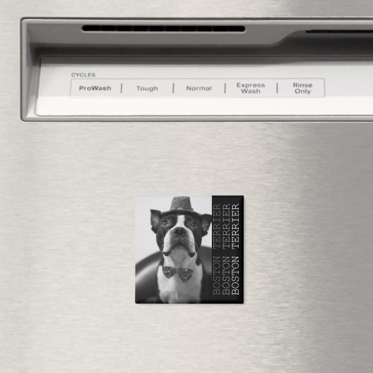 Pucca Magnets B マグネット (インサイチュ (食洗機))