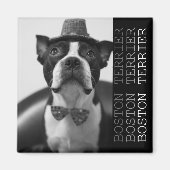 Pucca Magnets B マグネット (正面)