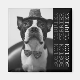 Pucca Magnets B マグネット