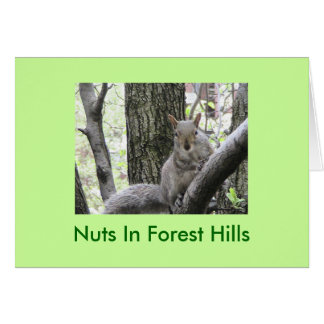 Pucciは姿勢、Forest Hillsのナットを打ちます