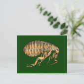 PUCE ポストカード (スタンド正面)