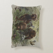 Pudelpointer アクセントクッション (裏面(縦))