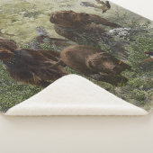 Pudelpointer シェルパブランケット (3/4)