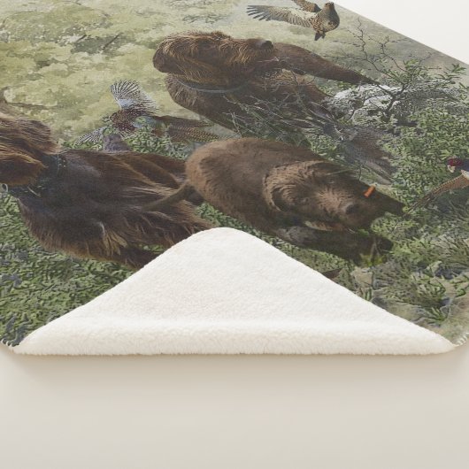 Pudelpointer シェルパブランケット (3/4)