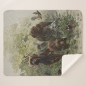 Pudelpointer シェルパブランケット (正面(横))