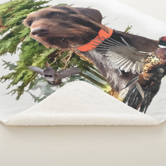 Pudelpointer シェルパブランケット (3/4)