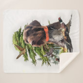 Pudelpointer シェルパブランケット (正面(横))