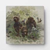 Pudelpointer フォトプラーク (正面)