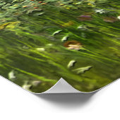 Pudelpointer ポスター (角)