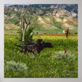 Pudelpointer ポスター (正面)