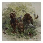 Pudelpointer ポスター (正面)