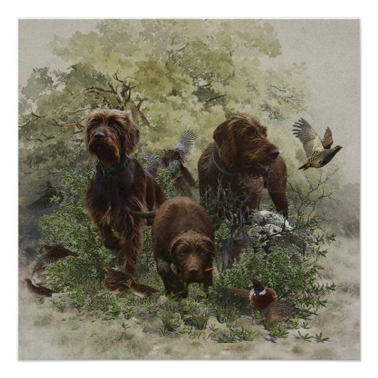 Pudelpointer ポスター (正面)