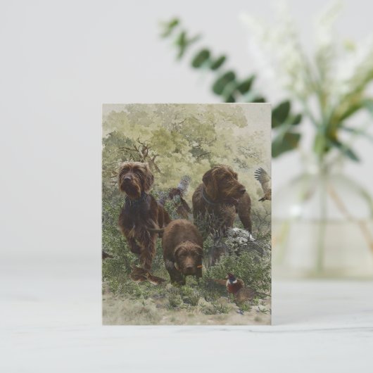 Pudelpointer ポストカード (スタンド正面)