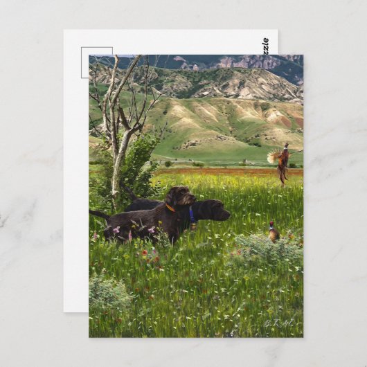 Pudelpointer ポストカード (正面/裏面)