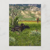 Pudelpointer ポストカード (正面)