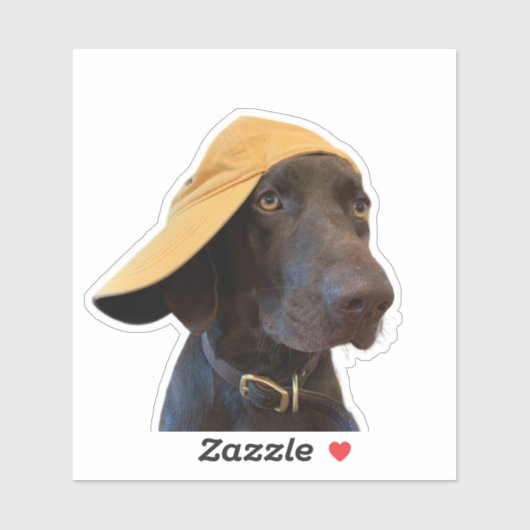 Pudelpointer Dog Vinylステッカー シール (シート)